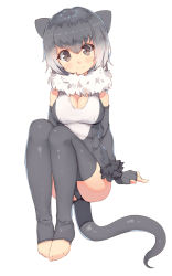 Rule 34 | 10s, 1girl, animal ears, barefoot, breasts, closed mouth, elbow gloves, feet, female focus, fingerless gloves, full body, fur trim, gloves, gradient hair, grey eyes, grey gloves, grey hair, grey thighhighs, highres, kemono friends, large breasts, looking at viewer, multicolored hair, no shoes, otter ears, shone, short hair, simple background, sitting, sketch, small-clawed otter (kemono friends), smile, solo, tail, thighhighs, thighs, toeless legwear, toes, white background, white hair