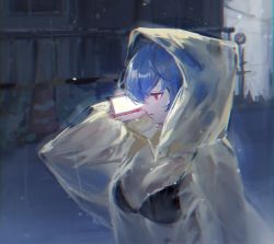 Rule 34 | 1girl, absurdres, ayanami rei, black bra, blue hair, bra, breasts, cellphone, closed mouth, coat, commentary, highres, holding, holding phone, hood, hood up, hooded coat, long sleeves, medium breasts, neon genesis evangelion, no shirt, outdoors, phone, profile, rain, red eyes, sandwich (3meiji), see-through, see-through coat, short hair, smartphone, solo, traffic cone, underwear, upper body