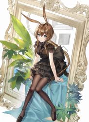 Rule 34 | 1girl, ambience synesthesia, amiya (arknights), animal ears, arknights, black dress, black footwear, black ribbon, blue eyes, breasts, brown hair, brown pantyhose, commentary request, dress, empty picture frame, full body, hair between eyes, highres, jewelry, kernel killer, loafers, long hair, looking at viewer, medium breasts, multiple rings, official alternate costume, pantyhose, picture frame, plant, ponytail, rabbit ears, ribbon, ring, shoes, sitting, solo, table, through medium, through painting, very long hair