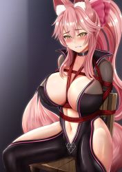 Rule 34 | 1girl, animal ear fluff, animal ears, bdsm, black bodysuit, blush, bodysuit, bondage, bound, breasts, cameltoe, chair, cleft of venus, clenched teeth, commentary, covered erect nipples, fate/grand order, fate (series), fox ears, fox tail, hair ribbon, hexelica, hip vent, koyanskaya (assassin) (first ascension) (fate), koyanskaya (fate), large breasts, long hair, navel, pink hair, plunging neckline, red ribbon, restrained, ribbon, shibari, shiny clothes, sitting, solo, tail, tamamo (fate), teeth, yellow eyes