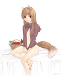 Rule 34 | 00s, animal ears, apple, barefoot, bottomless, brown hair, feet, food, fruit, holo, kanda aya, long hair, red eyes, solo, spice and wolf, tail, wolf ears, wolf tail