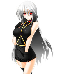 Rule 34 | 1girl, black thighhighs, blush, breasts, buckle, collar, engo (aquawatery), fingerless gloves, gloves, large breasts, long hair, lyrical nanoha, mahou shoujo lyrical nanoha, mahou shoujo lyrical nanoha a&#039;s, red eyes, reinforce, silver hair, single thighhigh, solo, thighhighs