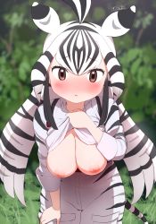 Rule 34 | 1girl, animal ears, animal print, antenna hair, black hair, blurry, blurry background, blush, breasts, brown eyes, cargo shorts, chapman&#039;s zebra (kemono friends), clothes lift, cowboy shot, day, flashing, furrowed brow, hanging breasts, high-waist shorts, highres, kemono friends, leaning forward, lifted by self, long sleeves, looking at viewer, masuyama ryou, medium breasts, multicolored hair, nipples, nose blush, outstretched arms, parted lips, print shirt, print shorts, shirt, shirt lift, shorts, sleeveless, solo, streaked hair, striped clothes, tail, twintails, two-tone hair, white hair, zebra ears, zebra girl, zebra print, zebra tail