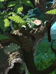 Rule 34 | 1girl, acorn, bird, camouflage, closed eyes, closed mouth, dappled sunlight, dress, flat cap, green dress, green hair, green hat, hat, highres, jewelry, kajatony, kappa, key, key necklace, leaf, light particles, monster girl, nature, necklace, scales, short hair, short sleeves, sleeping, snake tail, solo, sunlight, tail, touhou, tree, wavy hair, yamashiro takane