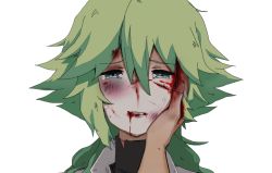 Rule 34 | 10s, 1boy, artist request, blood, blood on face, blue eyes, bruise, creatures (company), crying, crying with eyes open, cuts, game freak, green hair, hand on another&#039;s face, injury, long hair, male focus, n (pokemon), nintendo, pokemon, pokemon bw, ponytail, portrait, reverse ryona, solo focus, tears, turtleneck