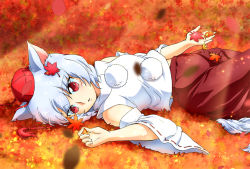 Rule 34 | 1girl, animal ears, autumn leaves, bad id, bad pixiv id, bare shoulders, breasts, detached sleeves, hat, inubashiri momiji, leaf, looking at viewer, midriff, open mouth, red eyes, shirt, short hair, silver hair, skirt, solo, tail, tokin hat, touhou, wolf ears, wolf tail, yamami-hosyo