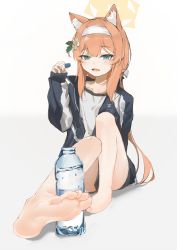 Rule 34 | 1girl, absurdres, animal ears, barefoot, blue archive, blue eyes, blush, bottle, feet, hairband, highres, jacket, long hair, looking at viewer, mari (blue archive), open mouth, orange hair, soles, toes, track jacket, water bottle