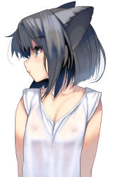 Rule 34 | 1girl, animal ears, black hair, blue eyes, breasts, cat ears, flat chest, highres, kouno (masao), looking to the side, nipples, original, profile, see-through, shirt, short hair, small breasts, solo, t-shirt, white background