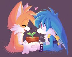 Rule 34 | 2boys, closed eyes, fox boy, gloves, heart, highres, holding, holding plate, ili0tropi0h, kitsunami the fennec, male focus, multiple boys, plant, plate, potted plant, simple background, sonic (series), sonic the hedgehog (idw), tails (sonic), white gloves, yaoi
