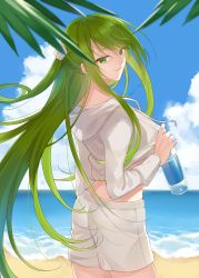 Rule 34 | 1other, absurdres, androgynous, beach, bottle, commentary request, day, enkidu (fate), fate/strange fake, fate (series), flower, green eyes, green hair, hair flower, hair ornament, highres, holding, holding bottle, hood, hoodie, kan&#039;yu (citron 82), leaf, light green hair, long hair, looking at viewer, ocean, sand, shorts, smile, solo, very long hair, water, water bottle, white hoodie, white shorts