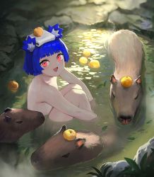 Rule 34 | 1girl, :d, absurdres, animal, bathing, blue eyes, blunt bangs, blush, capybara, completely nude, convenient arm, fang, gris (vertigris), highres, hugging own legs, looking at viewer, nude, object on head, onsen, open mouth, original, outdoors, pond, red eyes, short hair, smile, solo, towel, towel on head, vertigris