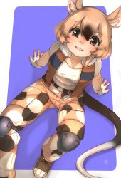 Rule 34 | 1girl, african giant pouched rat (kemono friends), animal ear fluff, animal ears, belt, black hair, brown pants, brown vest, camouflage, camouflage pants, commentary request, fingerless gloves, from above, gambian rat (kemono friends), gloves, hair between eyes, highres, kemono friends, kemono friends 3, knee pads, light brown hair, looking at viewer, mouse ears, mouse girl, mouse tail, multicolored hair, open clothes, open vest, orange eyes, pants, shirt, short hair, short sleeves, simple background, sitting, solo, t-shirt, tail, thin (suzuneya), two-tone hair, vest, white gloves, white shirt