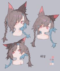 Rule 34 | 1other, androgynous, animal ear fluff, animal ears, braid, brown hair, closed mouth, color guide, cropped shoulders, cropped torso, dot nose, glaring, grey background, kasa (hitori sanka), long hair, looking at viewer, multiple views, original, red eyes, simple background, sketch, twin braids, wide-eyed