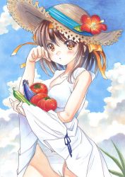 Rule 34 | 1girl, bag, blue ribbon, blue sky, blush, bow, brown eyes, brown hair, clothes lift, cloud, collarbone, cowboy shot, day, dress, dress lift, flower, hair between eyes, hair bow, hairband, hat, hat flower, hat ribbon, hibiscus, highres, lifting own clothes, long hair, marker (medium), outdoors, panties, pantyshot, parted lips, red flower, ribbon, sky, sleeveless, sleeveless dress, solo, standing, straw hat, sun hat, sundress, suzumiya haruhi, suzumiya haruhi no yuuutsu, tomato, tomoeri, traditional media, underwear, white dress, white panties, yellow bow, yellow hairband
