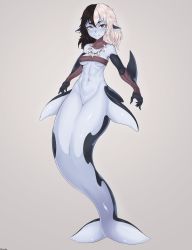 Rule 34 | 1girl, absurdres, bare shoulders, black hair, black skin, blue skin, bottomless, breasts, brown eyes, claws, colored skin, commentary, commission, dorsal fin, english commentary, fins, full body, grey background, grey eyes, hair between eyes, head fins, heterochromia, highres, looking at viewer, medium hair, meolucky147, mermaid, mershark (monster girl encyclopedia), monster girl, monster girl encyclopedia, multicolored hair, multicolored skin, navel, necklace, no pussy, shark girl, simple background, small breasts, smile, solo, split-color hair, stomach, strapless, tooth necklace, tube top, two-tone hair, white hair