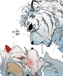 Rule 34 | 2boys, animal ears, arknights, bara, blush, close-up, eye contact, furry, furry male, furry with furry, grabbing another&#039;s chin, gundii, hand on another&#039;s chin, highres, korean text, looking at another, male focus, mountain (arknights), multiple boys, open mouth, saliva, saliva trail, scar, scar across eye, scar on face, sexually suggestive, short hair, tearing up, thick eyebrows, tiger boy, tiger ears, translation request, white fur, yaoi