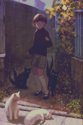 Rule 34 | 1girl, animal focus, black cat, black footwear, black sweater, blunt bangs, brown hair, cat, commentary request, creepy, day, fence, horror (theme), long sleeves, looking at viewer, mary janes, multiple tails, nekomata, original, outdoors, parted lips, shoes, short shorts, shorts, smile, socks, solo, sweater, tail, tomono rui, two tails, wall, white cat, white socks