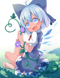 Rule 34 | 1girl, :d, barefoot, blue bow, blue dress, blue eyes, blue hair, blush, bow, cirno, dress, fairy wings, fang, flower, grass, hair bow, hidden star in four seasons, highres, ice, ice wings, looking at viewer, makuran, open mouth, plant, short hair, short sleeves, sitting, smile, solo, tan, tanned cirno, touhou, vines, wings