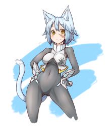 Rule 34 | 1girl, animal ears, armor, blue hair, blush, bodysuit, breasts, breasts apart, breath, cat ears, cat tail, contrapposto, covered navel, cowboy shot, crop top, gauntlets, gloves, hands on own hips, hip focus, lean picchner, light smile, looking at viewer, medium breasts, open clothes, open vest, orange eyes, original, phantasy star, phantasy star online 2, ryota tentei, scar, short hair, skin tight, smile, solo, standing, tail, tora tentei, turtleneck, vambraces, vest, yellow eyes