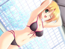 Rule 34 | 1girl, ;d, armpits, arms up, bikini, blonde hair, blush, breasts, cleavage, dutch angle, front-tie top, game cg, green eyes, groin, happy, hazumi rio, highres, large breasts, navel, one eye closed, open mouth, petapeta, polka dot, polka dot bikini, polka dot swimsuit, pool, poolside, shiokawa aya, short hair, smile, solo, swimsuit, tree, window, wink
