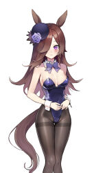 Rule 34 | 1girl, absurdres, animal ears, black leotard, black pantyhose, blue flower, blue hat, blue rose, bow, bowler hat, bowtie, breasts, brown hair, detached collar, feet out of frame, flower, hair over one eye, hat, hat flower, highres, horse ears, horse girl, horse tail, hovaku, leotard, long hair, medium breasts, nontraditional playboy bunny, pantyhose, playboy bunny, purple bow, purple bowtie, purple eyes, rabbit ears, rice shower (umamusume), rose, simple background, solo, tail, thighband pantyhose, tilted headwear, umamusume, white background, wrist cuffs