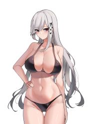 Rule 34 | 1girl, absurdres, azur lane, bare shoulders, bikini, black bikini, breasts, butterfly hair ornament, cleavage, closed mouth, collarbone, commentary, cowboy shot, dunkerque (azur lane), gluteal fold, grey hair, groin, hair between eyes, hair ornament, hand on own hip, highres, large breasts, long hair, looking at viewer, maanu, navel, purple eyes, sidelocks, simple background, skindentation, solo, standing, stomach, swimsuit, thigh gap, white background