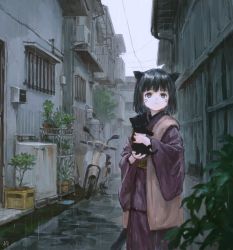 Rule 34 | 1girl, animal, animal ears, artist name, black eyes, black hair, bob cut, building, cat, cat ears, cat tail, cloud, cloudy sky, day, facial mark, highres, holding, holding animal, japanese clothes, kimono, long sleeves, looking at viewer, moped, motor vehicle, original, outdoors, plant, rain, road, sho (sho lwlw), short hair, sky, solo, standing, street, tail, town, whisker markings, wide sleeves, window
