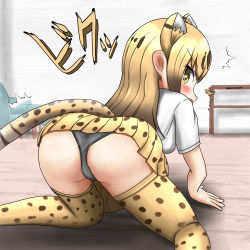 Rule 34 | 1girl, absurdres, all fours, annoyed, artist request, ass, blonde hair, blush, breasts, cheetah (kemono friends), cheetah ears, cheetah tail, from behind, highres, kemono friends, long hair, looking at viewer, looking back, medium breasts, panties, shiny skin, sideboob, solo, tail, thighhighs, translated, underwear