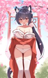 Rule 34 | 1girl, absurdres, animal ear fluff, animal ears, bare shoulders, black hair, blue archive, blush, bow, bow panties, breasts, cameltoe, cat ears, cherry blossoms, clothes lift, gluteal fold, hakama, halo, highres, japanese clothes, kimono, lifted by self, long hair, looking at viewer, medium breasts, miko, navel, official alternate costume, open mouth, panties, petal print, ponytail, red eyes, red hakama, serika (blue archive), serika (new year) (blue archive), smile, solo, standing, thighs, underwear, white kimono, white panties, whitecatcat, wide sleeves
