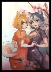 Rule 34 | 10s, 2girls, alternate costume, animal ears, black border, blonde hair, blue hair, border, cherry blossoms, china dress, chinese clothes, closed mouth, commentary request, dog (shiba inu) (kemono friends), dog ears, dog tail, dress, elbow gloves, fangs, gloves, holding hands, kemono friends, looking at viewer, lumian, multicolored hair, multiple girls, open mouth, short hair, short sleeves, siberian husky (kemono friends), smile, tail, white hair