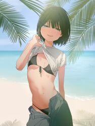 Rule 34 | 1girl, absurdres, beach, bikini, black bikini, black hair, blue sky, blush, breasts, clothes lift, cowboy shot, day, front-tie bikini top, front-tie top, grey eyes, highres, lifting own clothes, looking at viewer, navel, ocean, open fly, original, outdoors, pants, parted lips, shirt, shirt lift, short hair, sky, small breasts, smile, solo, swimsuit, swimsuit under clothes, t-shirt, usurai rairai, water, white shirt