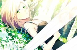 Rule 34 | 1girl, achiki, bad id, bad pixiv id, blonde hair, bloom, dutch angle, flower, grass, green eyes, long hair, looking at viewer, lying, on back, original, solo