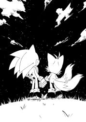 Rule 34 | 2boys, animal nose, cloud, cloudy sky, commentary, commentary request, fox boy, fox cub, fox tail, from behind, full body, furry, furry male, grass, greyscale, highres, holding hands, misuta710, monochrome, multiple boys, multiple tails, night, night sky, outdoors, shoes, sky, sonic (series), sonic the hedgehog, star (sky), starry sky, tail, tails (sonic), two tails