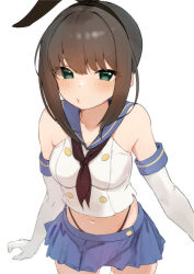 Rule 34 | 1girl, animal ears, bare shoulders, black hairband, black neckerchief, black panties, blue sailor collar, blue skirt, blush, breasts, brown hair, buttons, collarbone, collared shirt, commentary request, cosplay, cowboy shot, crop top, detached sleeves, elbow gloves, fake animal ears, from above, fubuki (kancolle), gloves, green eyes, hair between eyes, hairband, highleg, highleg panties, kantai collection, looking at viewer, medium breasts, midriff, miniskirt, navel, neckerchief, open mouth, panties, pleated skirt, sailor collar, sakieko, school uniform, serafuku, shimakaze (kancolle), shimakaze (kancolle) (cosplay), shirt, short hair, sidelocks, simple background, skirt, sleeveless, sleeveless shirt, solo, thigh gap, thighhighs, underwear, white background, white gloves, white shirt
