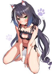 Rule 34 | 1girl, animal ear fluff, animal ears, bare arms, bare legs, bare shoulders, barefoot, bell, between legs, black bra, black choker, black hair, black panties, blue hair, blush, bra, breasts, cat cutout, cat ears, cat girl, cat lingerie, cat tail, choker, cleavage, cleavage cutout, closed mouth, clothing cutout, collarbone, full body, gradient hair, green eyes, hand between legs, highres, jingle bell, karyl (princess connect!), kneeling, long hair, low twintails, medium breasts, meme attire, multicolored hair, navel, neck bell, panties, paw print, paw print background, princess connect!, princess connect!, side-tie panties, solo, streaked hair, tail, takanashi kei (hitsujikan), twintails, underwear, underwear only, v-shaped eyebrows, very long hair, white background, white hair