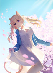 Rule 34 | 1girl, animal ear fluff, animal ears, artist name, blonde hair, blue jacket, blue sky, breasts, cat ears, cat girl, cat tail, cherry blossoms, cleavage, closed mouth, collarbone, day, dress, falling petals, flower, hair ribbon, hanami, highres, jacket, large breasts, long hair, long sleeves, looking at viewer, open clothes, open jacket, original, outdoors, petals, pink flower, purple eyes, ribbon, skirt hold, sky, smile, solo, spring (season), standing, tail, tree, twintails, watermark, white dress, white ribbon, wind, yuma (594986561)