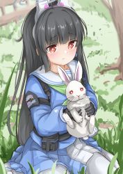 Rule 34 | 1girl, absurdres, animal ear headwear, black hair, blue archive, commentary request, fake animal ears, gloves, grass, halo, headband, highres, hime cut, hjhtp, long hair, miyu (blue archive), pantyhose, rabbit, red eyes, school uniform, seiza, sitting, solo, tactical clothes, white pantyhose