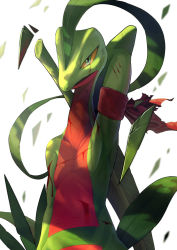 Rule 34 | arm scarf, armpits, bleeding, blood, blurry, blurry background, commentary request, creatures (company), game freak, gen 3 pokemon, green eyes, grovyle, highres, injury, karamimame, leaf, looking at viewer, multicolored eyes, nintendo, no humans, open mouth, pokemon, pokemon (creature), scarf, scratches, slit pupils, torn clothes, torn scarf, upper body, white background, yellow eyes
