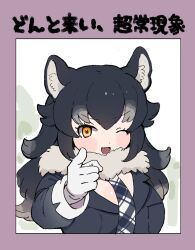 010mzam 1girl animal_ears blush fang fur_collar gloves grey_hair grey_jacket grey_necktie grey_wolf_(kemono_friends) hair_between_eyes highres jacket kemono_friends long_sleeves looking_at_viewer multicolored_hair necktie one_eye_closed open_mouth orange_eyes plaid_clothes plaid_necktie pointing purple_background sidelocks solo tail translation_request white_fur white_gloves white_hair white_sleeve_cuffs wolf_ears wolf_girl wolf_tail