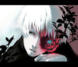 Rule 34 | 1boy, black shirt, closed mouth, commentary request, flower, gradient background, hand on own chin, hand up, kaneki ken, koujima shikasa, letterboxed, looking to the side, male focus, one eye covered, pale skin, plant, portrait, red background, red flower, shirt, short hair, solo, tokyo ghoul, white background, white hair