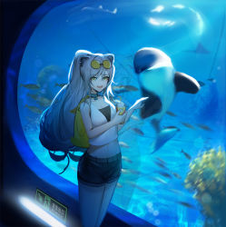 Rule 34 | 1girl, alternate costume, animal ears, aquarium, arknights, backpack, bag, black shorts, casual, cat ears, commentary request, cowboy shot, crop top, cup, disposable cup, drinking straw, eyewear on head, holding, holding cup, indoors, long hair, looking at viewer, midriff, navel, oldercat, open mouth, schwarz (arknights), shirt, short shorts, shorts, silver hair, sleeveless, sleeveless shirt, smile, solo, standing, stomach, sunglasses, thighs, very long hair, white shirt, yellow eyes
