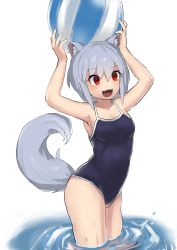 Rule 34 | 1girl, :d, absurdres, animal ears, armpits, arms up, ball, bare arms, bare shoulders, beachball, black one-piece swimsuit, blue one-piece swimsuit, blush, collarbone, competition school swimsuit, covered navel, fangs, highres, holding, holding ball, inubashiri momiji, matinmorgen, one-piece swimsuit, open mouth, red eyes, ripples, school swimsuit, short hair, silver hair, simple background, smile, solo, standing, swimsuit, tail, tareme, touhou, wading, water, white background, wolf ears, wolf tail