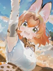 Rule 34 | 1girl, animal ears, bare shoulders, blonde hair, blush, bow, bowtie, brown hair, cat ears, cat girl, commentary request, elbow gloves, gloves, hair between eyes, high-waist skirt, highres, ieinu account, kemono friends, looking at viewer, multicolored hair, print bow, print bowtie, print gloves, print skirt, serval (kemono friends), serval print, shirt, short hair, skirt, sleeveless, solo, white shirt