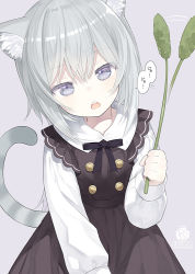 Rule 34 | 1girl, afterimage, animal ear fluff, animal ears, black dress, capriccio, cat ears, cat girl, cat tail, cattail, collared shirt, commentary request, dress, grey background, grey eyes, hair between eyes, head tilt, holding, long sleeves, looking at viewer, open mouth, original, plant, puffy long sleeves, puffy sleeves, shirt, silver hair, simple background, sleeveless, sleeveless dress, solo, tail, teeth, translation request, upper teeth only, white shirt