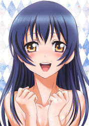 Rule 34 | 1girl, :d, absurdres, argyle, argyle background, argyle clothes, blue hair, blush, brown eyes, collarbone, completely nude, hair between eyes, highres, long hair, looking at viewer, love live!, love live! school idol project, nanno koto, nude, open mouth, page number, portrait, smile, solo, sonoda umi, straight hair