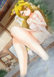 Rule 34 | 2girls, animal ears, bath, blonde hair, blush, breasts, brown eyes, brown hair, building, bush, cat ears, chen, cleavage, collarbone, eyes visible through hair, falling, fox ears, fox tail, kabu (snowliptom), large breasts, legs, crossed legs, looking at viewer, multiple girls, multiple tails, open mouth, outdoors, perspective, short hair, sitting, small breasts, smile, soaking feet, steam, tail, thighs, touhou, towel, two tails, water, wet, yakumo ran, yellow eyes