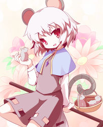 Rule 34 | 1girl, animal ears, basket, capelet, female focus, flat chest, flower, gradient background, grey hair, highres, jewelry, miko machi, mouse (animal), mouse ears, mouse tail, nazrin, pendant, red eyes, short hair, solo, tail, touhou