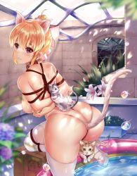 Rule 34 | 1girl, absurdres, anal, anal tail, animal, animal ears, arms behind back, ass, bdsm, between buttocks, blonde hair, blush, bondage, bound, bound arms, breasts, butt plug, cat, cat ears, cat tail, collar, fake animal ears, fake tail, from behind, highres, indoors, large breasts, looking at viewer, looking back, nipples, nude, object insertion, original, parted lips, ponytail, red eyes, rope, scrunchie, sex toy, shibari, solo, tail, thighhighs, white thighhighs, zomzomzomsauce