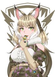 Rule 34 | 1girl, absurdres, animal ears, bare shoulders, belt, camouflage, cat ears, cat girl, cat tail, elbow gloves, extra ears, gloves, green eyes, grey hair, highres, jungle cat (kemono friends), kawanami eito, kemono friends, kemono friends v project, long hair, looking at viewer, microphone, ribbon, shirt, simple background, skirt, solo, tail, twintails, virtual youtuber, whistle