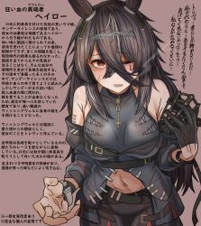 Rule 34 | 1girl, absurdres, animal ears, bare shoulders, black gloves, black hair, brown background, character profile, chest belt, choker, circlet, coat, commentary request, cross, cross necklace, ear ornament, genderswap, genderswap (mtf), gloves, grey hair, hair between eyes, halo (racehorse), highres, holding, horse ears, horse girl, jewelry, leogust, long bangs, long hair, looking at viewer, messy hair, midriff, multicolored hair, muzzle, navel, necklace, off-shoulder coat, off shoulder, one eye closed, original, personification, red eyes, scar, scar on face, sharp teeth, simple background, single glove, sleeveless, solo, streaked hair, teardrop tattoo, teeth, translation request, umamusume, wrist straps